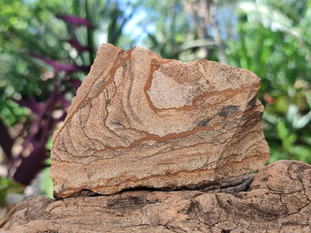 Natural Cobbed Picture Stone Jasper Specimens x 12 From Ais-Ais, Namibia - Toprock Gemstones and Minerals 
