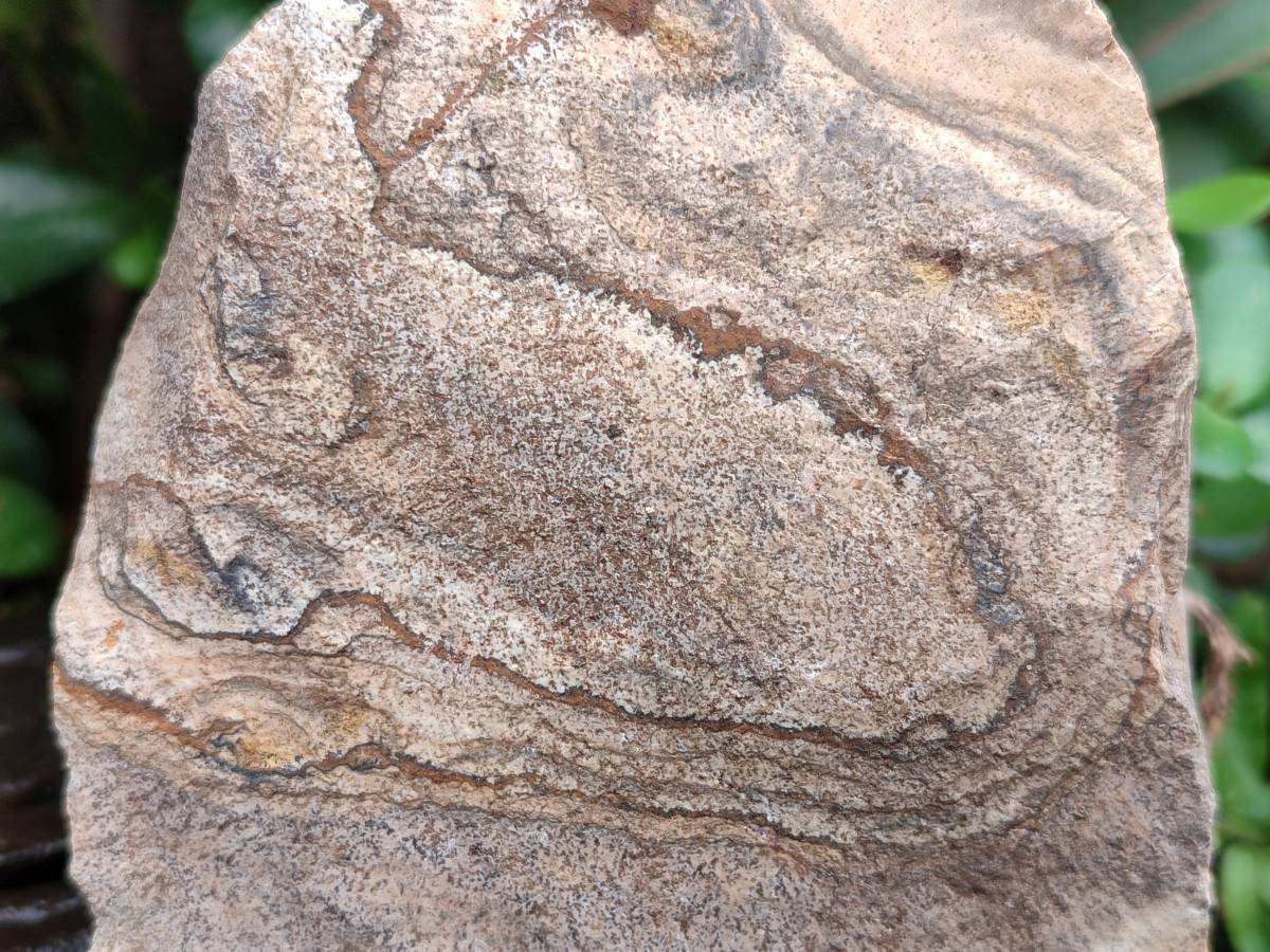 Natural Cobbed Picture Stone Jasper Specimens x 12 From Ais-Ais, Namibia - Toprock Gemstones and Minerals 