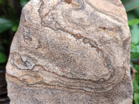 Natural Cobbed Picture Stone Jasper Specimens x 12 From Ais-Ais, Namibia