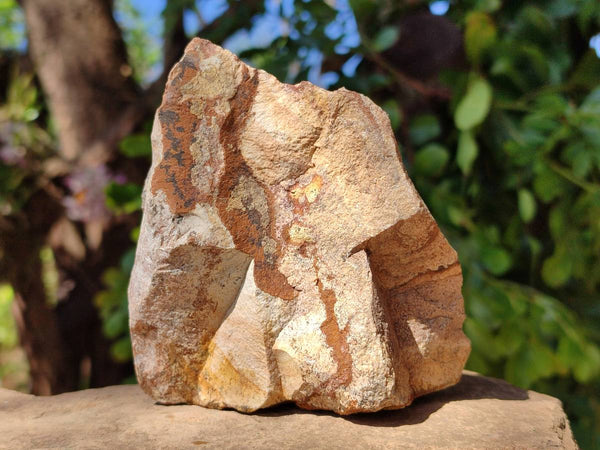 Natural Cobbed Picture Stone Jasper Specimens x 12 From Ais-Ais, Namibia