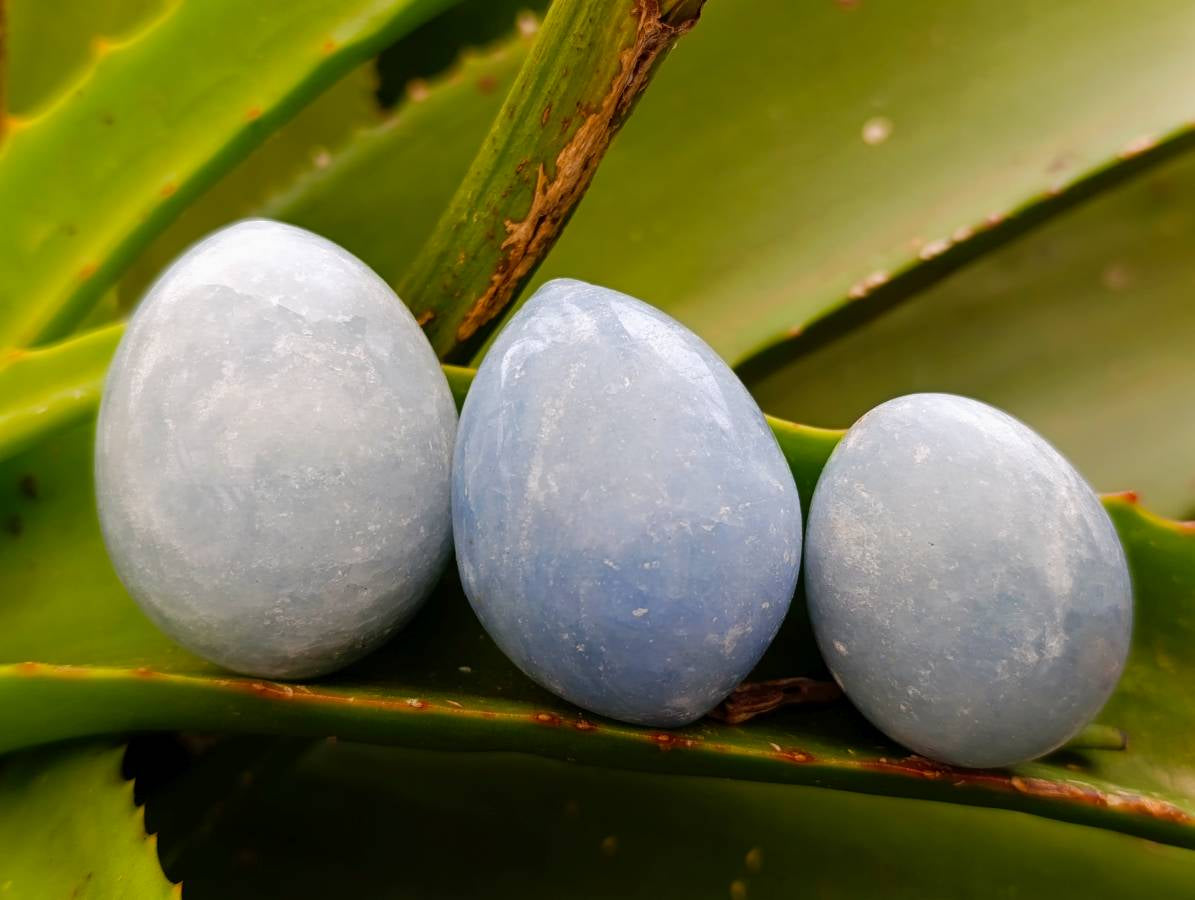 Polished Blue Calcite Eggs x 20 From Ihadilalana, Madagascar - Toprock Gemstones and Minerals 