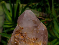 Natural Red Hematoid Quartz Clusters x 5 From Karoi, Zimbabwe