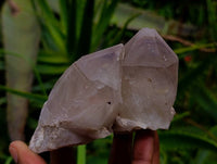 Natural Red Hematoid Quartz Clusters x 5 From Karoi, Zimbabwe