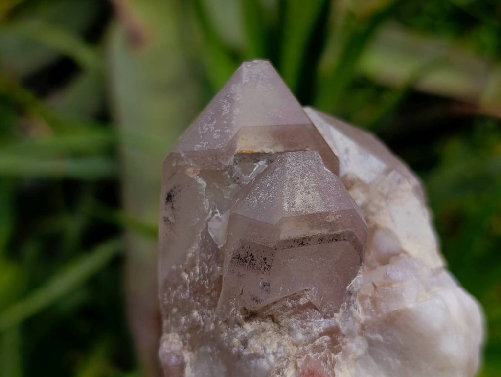 Natural Red Hematoid Quartz Clusters x 5 From Karoi, Zimbabwe - Toprock Gemstones and Minerals 