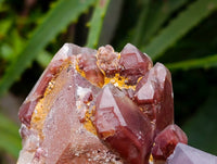 Natural Red Hematoid Quartz Clusters x 5 From Karoi, Zimbabwe