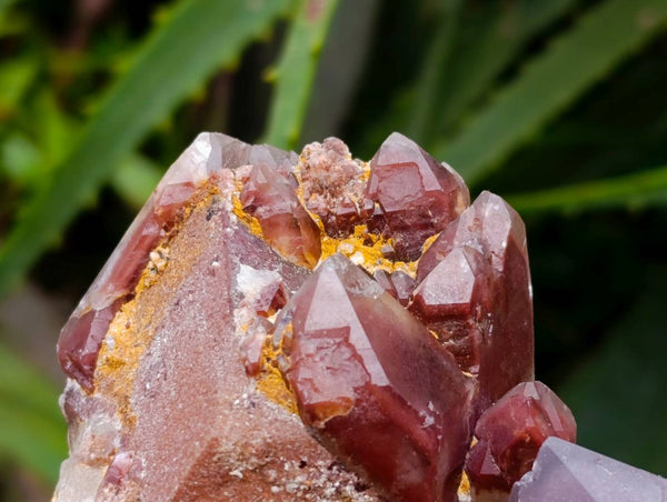 Natural Red Hematoid Quartz Clusters x 5 From Karoi, Zimbabwe