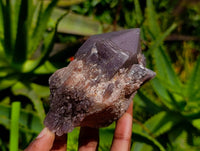 Natural Red Hematoid Quartz Clusters x 5 From Karoi, Zimbabwe