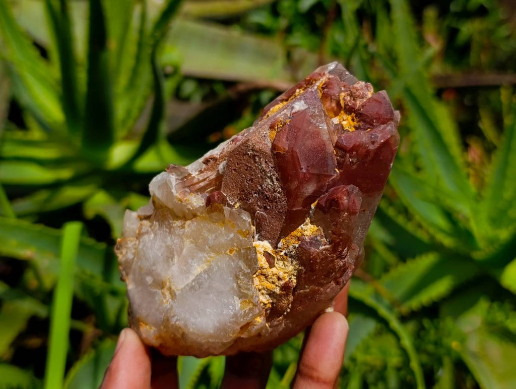 Natural Red Hematoid Quartz Clusters x 5 From Karoi, Zimbabwe - Toprock Gemstones and Minerals 