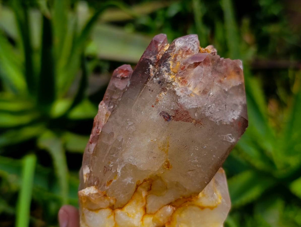 Natural Red Hematoid Quartz Clusters x 5 From Karoi, Zimbabwe - Toprock Gemstones and Minerals 