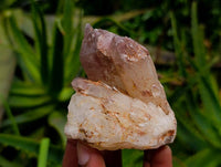 Natural Red Hematoid Quartz Clusters x 5 From Karoi, Zimbabwe