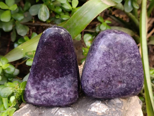 Polished Lepidolite Free Forms x 4 From Zimbabwe