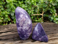 Polished Lepidolite Free Forms x 4 From Zimbabwe
