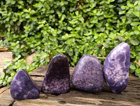 Polished Lepidolite Free Forms x 4 From Zimbabwe