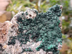 Natural Crystalline Ball Malachite and Quartz On Dolomite Matrix Specimen x 1 From Kambove, Congo - Toprock Gemstones and Minerals 