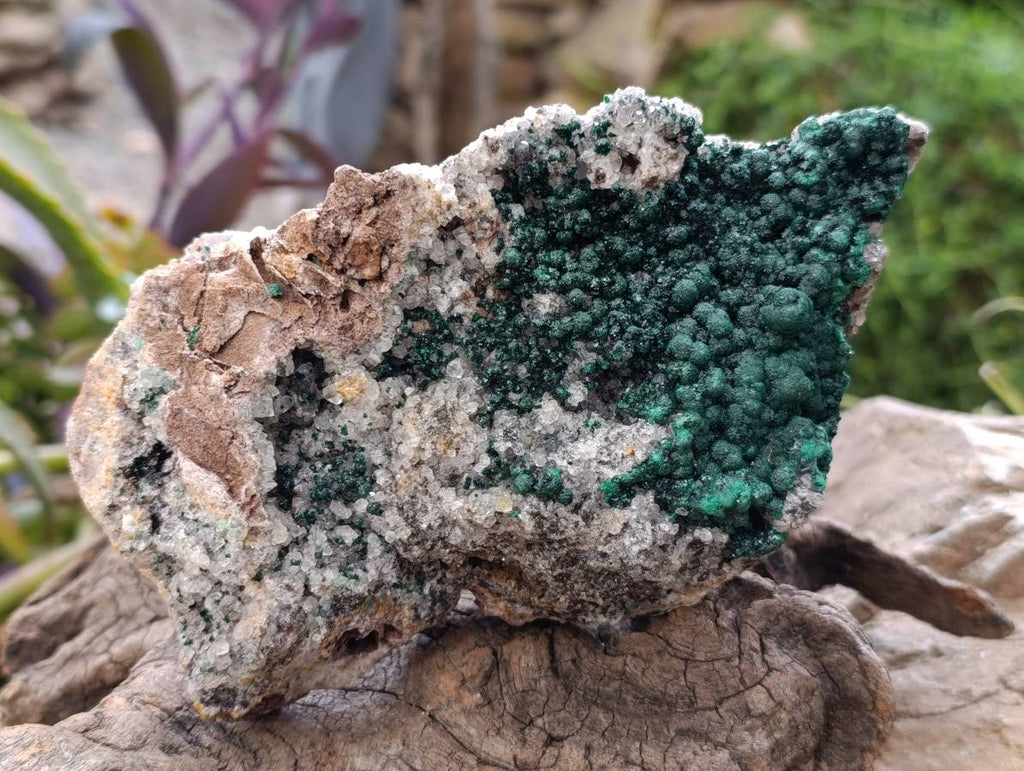 Natural Crystalline Ball Malachite and Quartz On Dolomite Matrix Specimen x 1 From Kambove, Congo - Toprock Gemstones and Minerals 