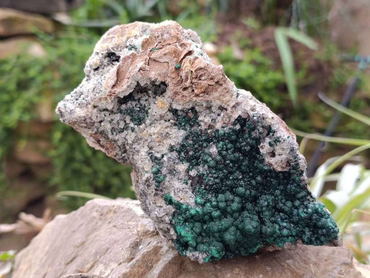 Natural Crystalline Ball Malachite and Quartz On Dolomite Matrix Specimen x 1 From Kambove, Congo - Toprock Gemstones and Minerals 