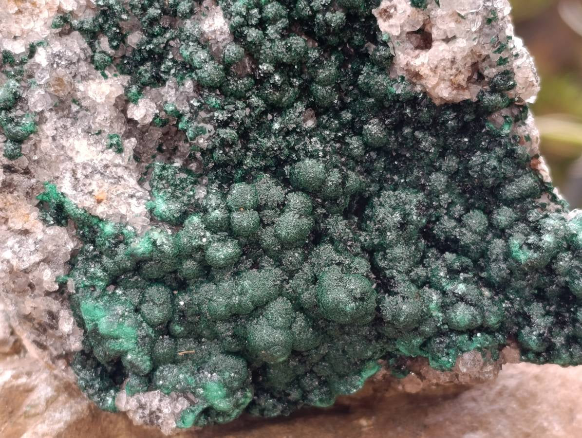 Natural Crystalline Ball Malachite and Quartz On Dolomite Matrix Specimen x 1 From Kambove, Congo - Toprock Gemstones and Minerals 