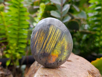 Polished Labradorite Galets x 12 From Tulear, Madagascar