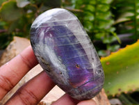 Polished Labradorite Galets x 12 From Tulear, Madagascar