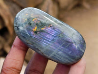 Polished Labradorite Galets x 12 From Tulear, Madagascar