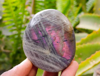 Polished Labradorite Galets x 12 From Tulear, Madagascar
