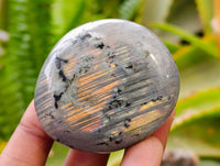Polished Labradorite Galets x 12 From Tulear, Madagascar