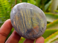 Polished Labradorite Galets x 12 From Tulear, Madagascar