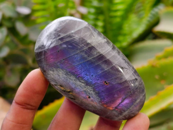 Polished Labradorite Galets x 12 From Tulear, Madagascar