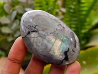 Polished Labradorite Galets x 12 From Tulear, Madagascar