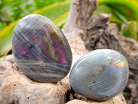 Polished Labradorite Galets x 12 From Tulear, Madagascar