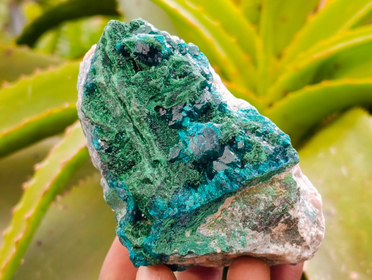 Natural Dioptase On Dolomite Specimens x 6 From Likasi, Congo - Toprock Gemstones and Minerals 