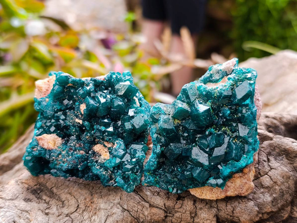 Natural Dioptase On Dolomite Specimens x 6 From Likasi, Congo - Toprock Gemstones and Minerals 