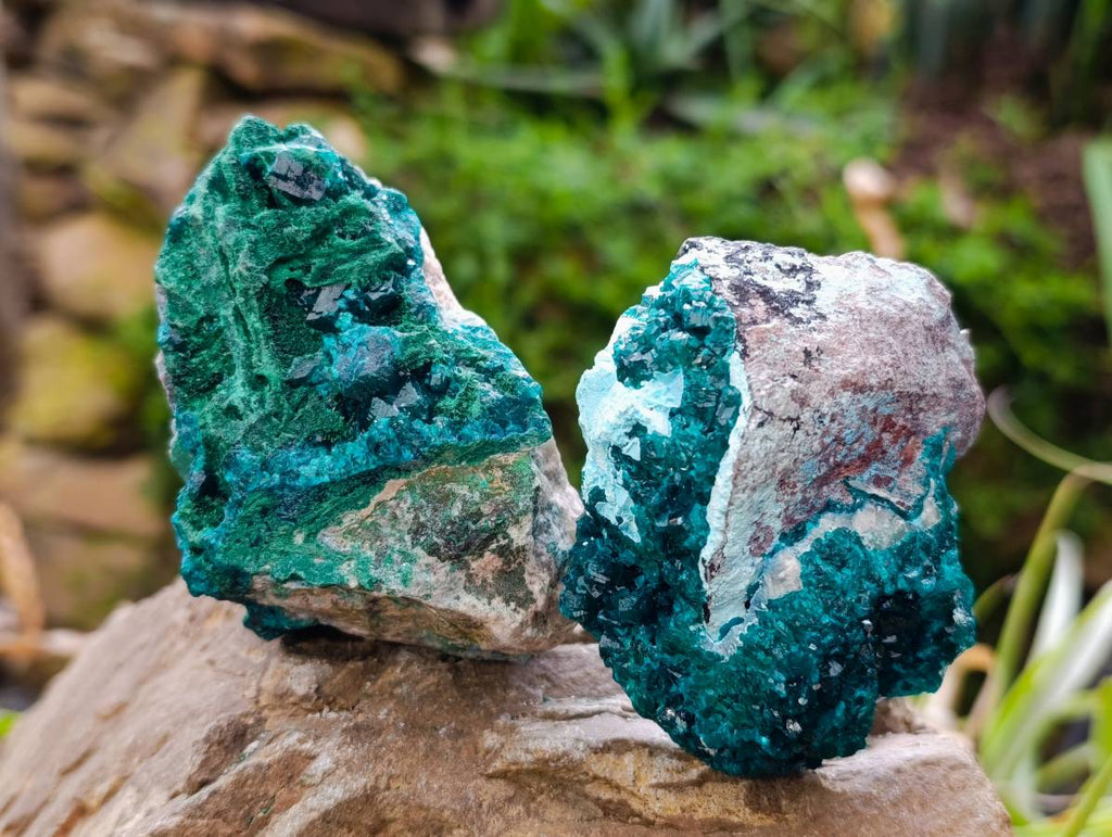 Natural Dioptase On Dolomite Specimens x 6 From Likasi, Congo - Toprock Gemstones and Minerals 