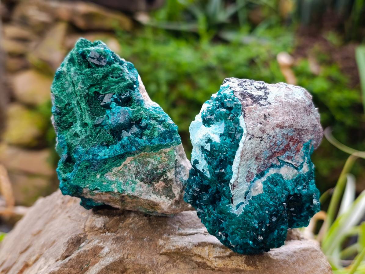 Natural Dioptase On Dolomite Specimens x 6 From Likasi, Congo - Toprock Gemstones and Minerals 