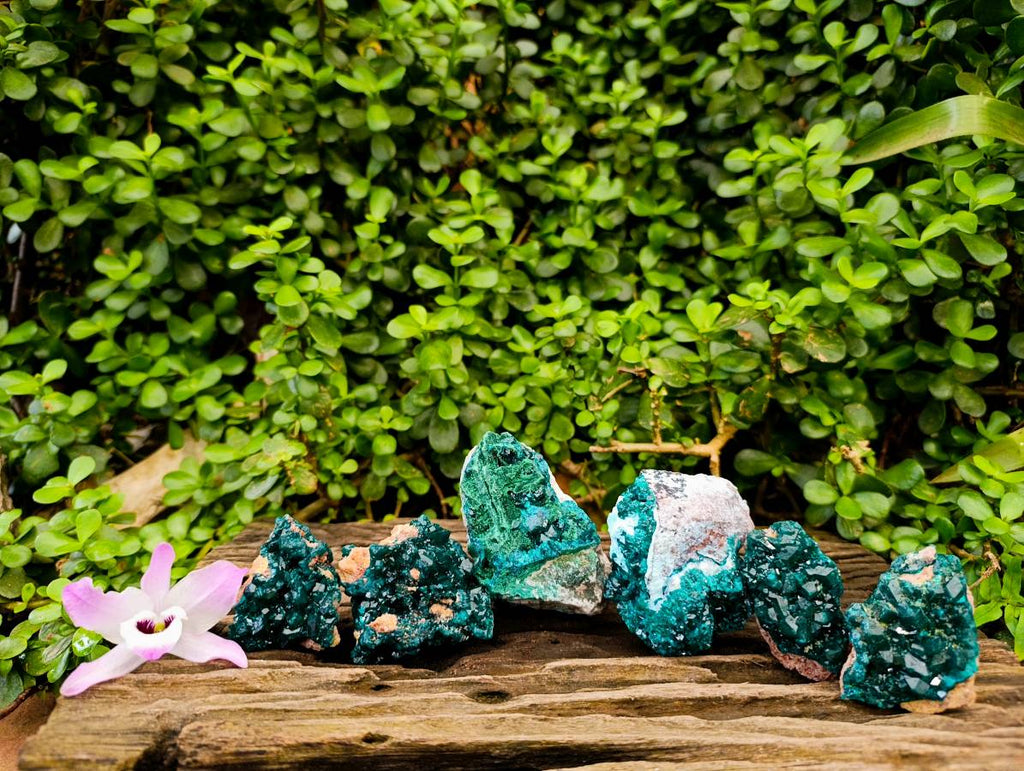 Natural Dioptase On Dolomite Specimens x 6 From Likasi, Congo - Toprock Gemstones and Minerals 