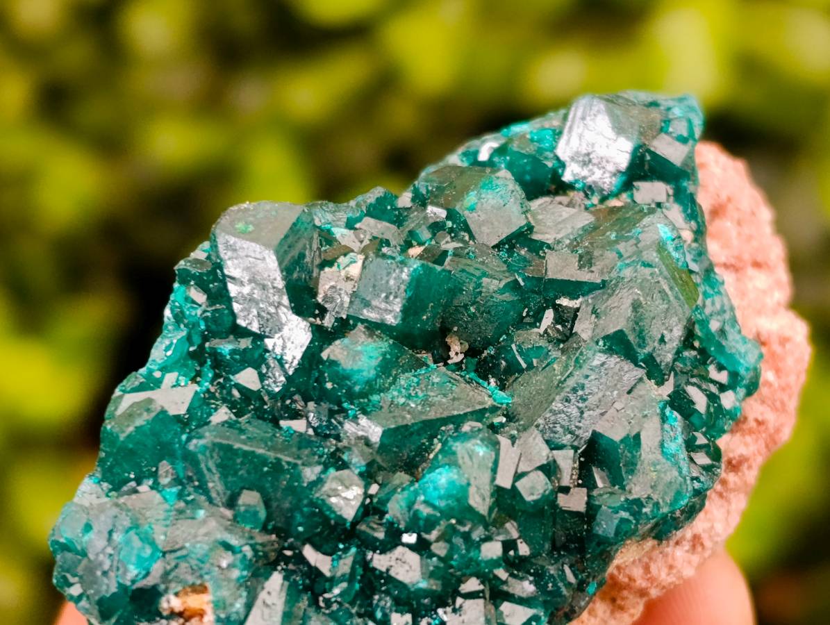 Natural Dioptase On Dolomite Specimens x 6 From Likasi, Congo - Toprock Gemstones and Minerals 