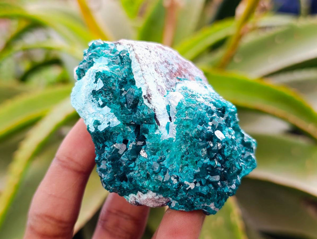 Natural Dioptase On Dolomite Specimens x 6 From Likasi, Congo - Toprock Gemstones and Minerals 