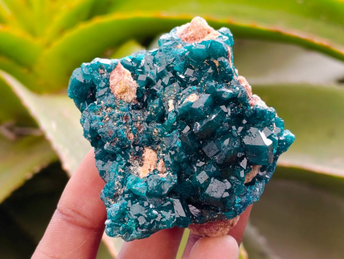 Natural Dioptase On Dolomite Specimens x 6 From Likasi, Congo - Toprock Gemstones and Minerals 
