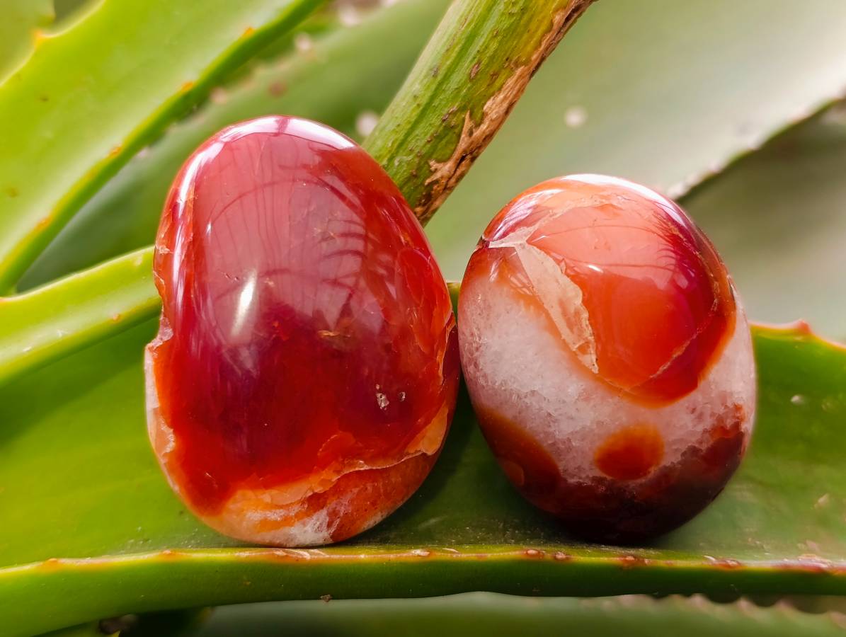Polished Carnelian Agate Gemstone Galets x 20 From Madagascar - Toprock Gemstones and Minerals 