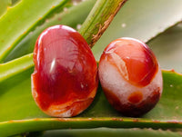 Polished Carnelian Agate Gemstone Galets x 20 From Madagascar