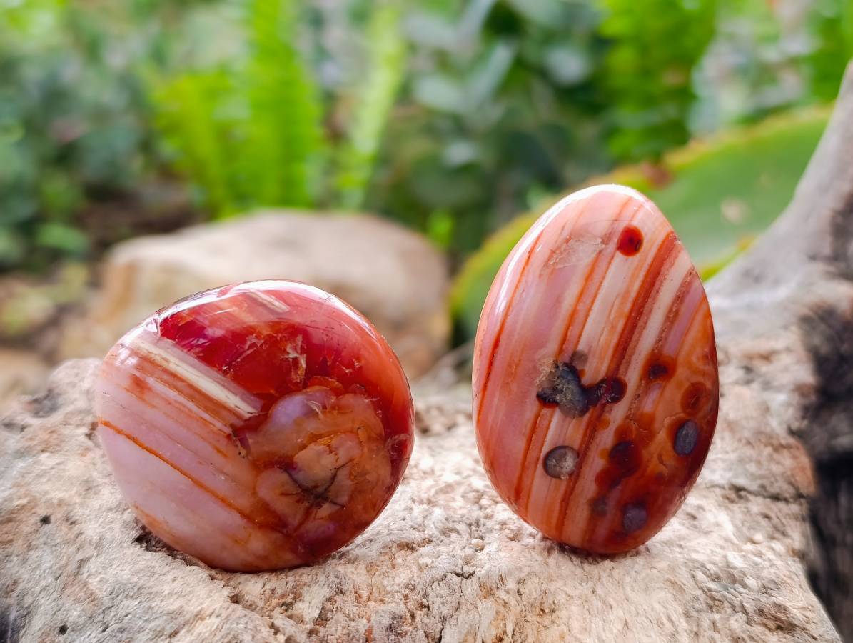 Polished Carnelian Agate Gemstone Galets x 20 From Madagascar - Toprock Gemstones and Minerals 