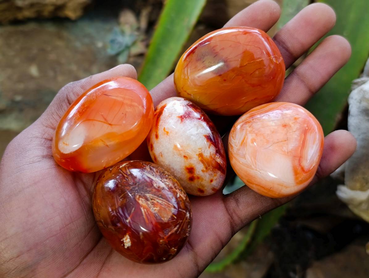 Polished Carnelian Agate Gemstone Galets x 20 From Madagascar - Toprock Gemstones and Minerals 
