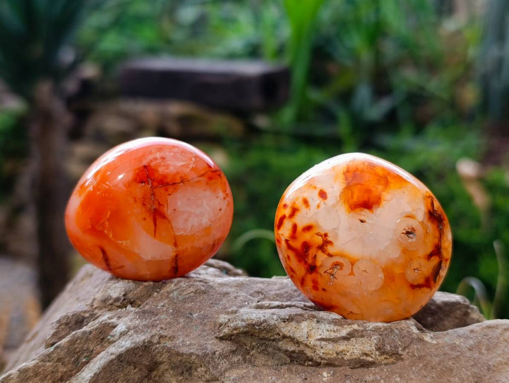 Polished Carnelian Agate Gemstone Galets x 20 From Madagascar - Toprock Gemstones and Minerals 
