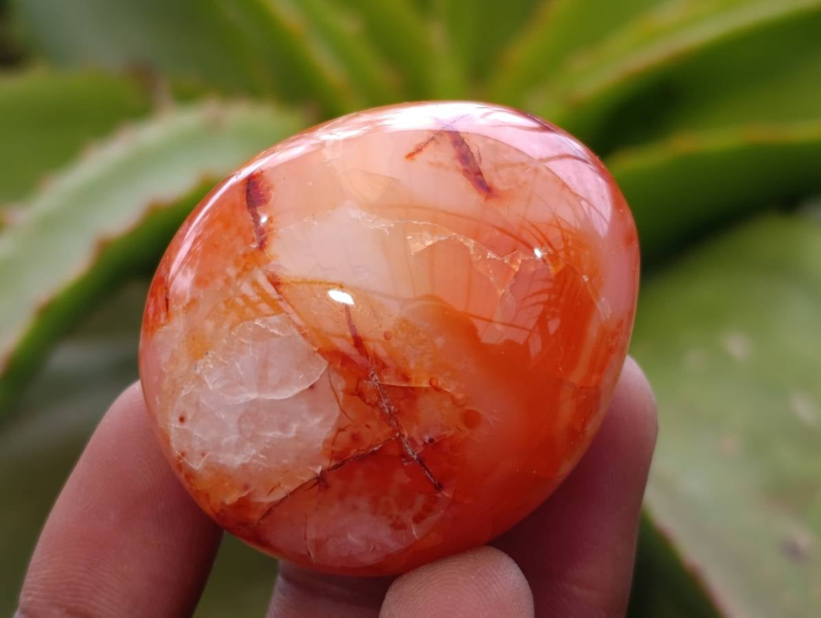 Polished Carnelian Agate Gemstone Galets x 20 From Madagascar - Toprock Gemstones and Minerals 