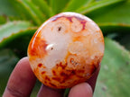 Polished Carnelian Agate Gemstone Galets x 20 From Madagascar - Toprock Gemstones and Minerals 