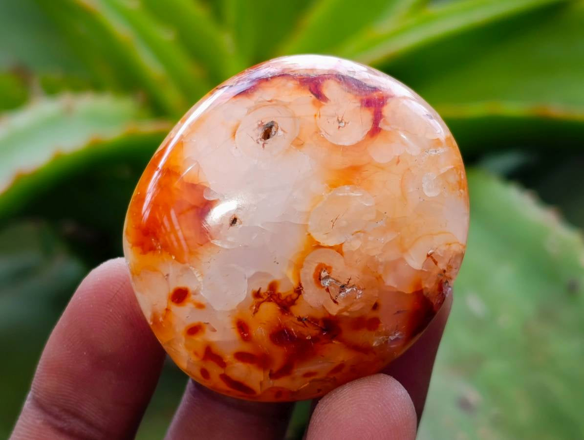 Polished Carnelian Agate Gemstone Galets x 20 From Madagascar - Toprock Gemstones and Minerals 