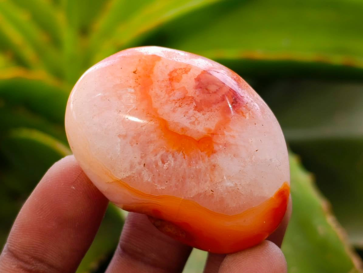 Polished Carnelian Agate Gemstone Galets x 20 From Madagascar - Toprock Gemstones and Minerals 