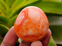 Polished Carnelian Agate Gemstone Galets x 20 From Madagascar