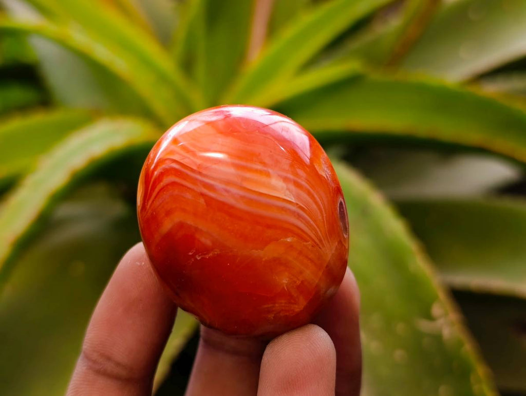 Polished Carnelian Agate Gemstone Galets x 20 From Madagascar - Toprock Gemstones and Minerals 