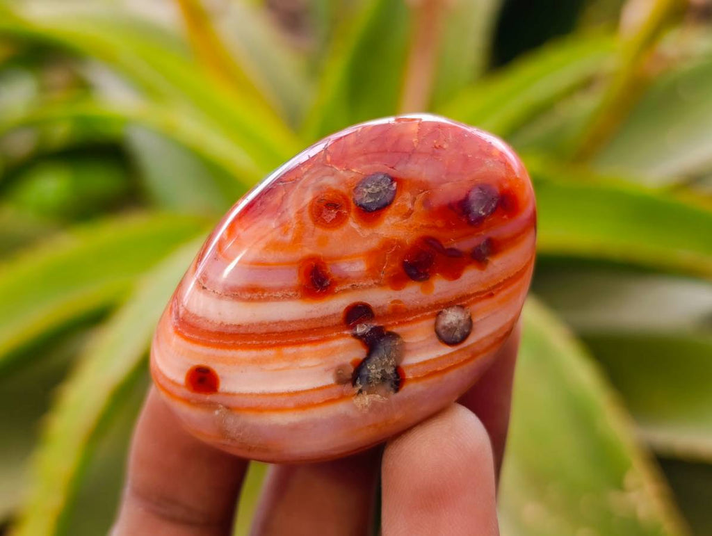 Polished Carnelian Agate Gemstone Galets x 20 From Madagascar - Toprock Gemstones and Minerals 